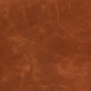 SADDLE