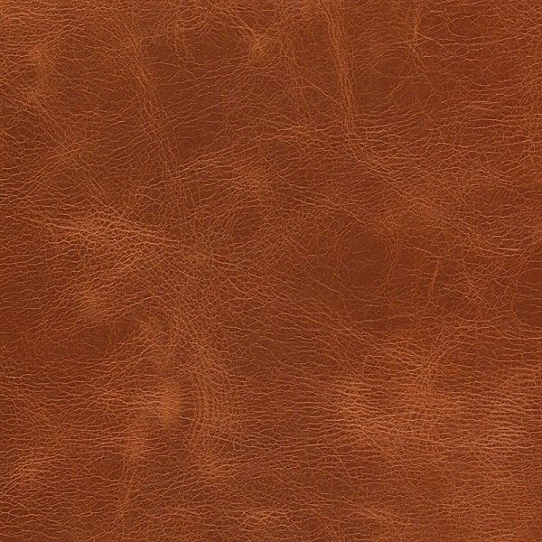 SADDLE