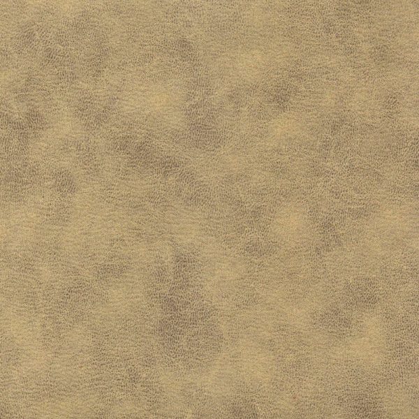COLOR N°4
