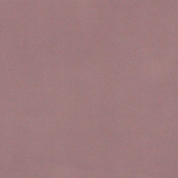 LAVANDA