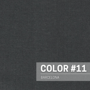 COLOR N°11