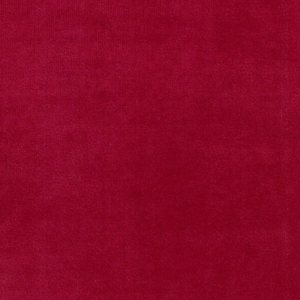TINTO