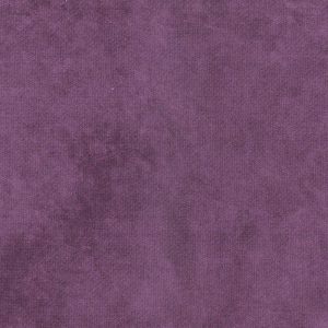 VIOLETA