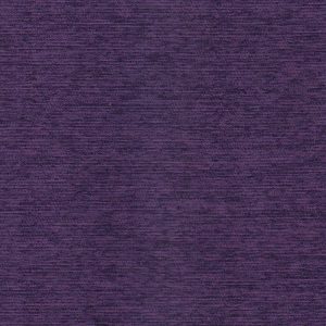 VIOLETA