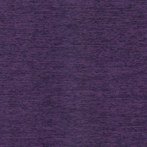 VIOLETA