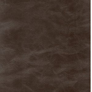 CHOCHOLATE