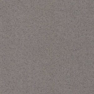 DETROIT ALMOND - Black Out