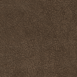 PAMPA CINNAMON