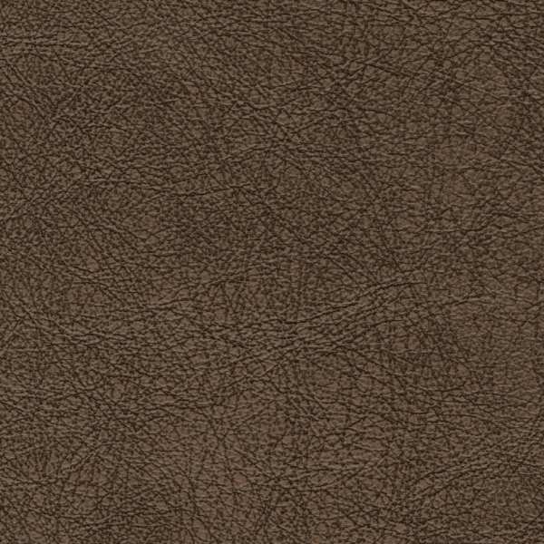 PAMPA CINNAMON
