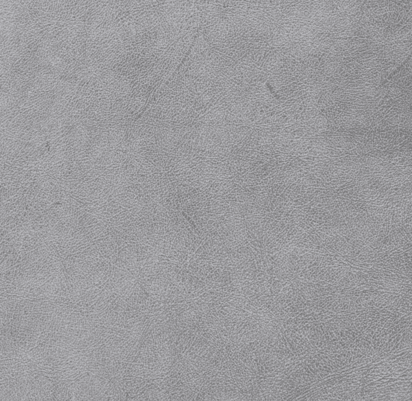 PAMPA IRON