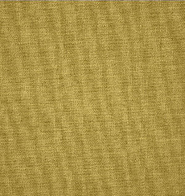 VISON - Image 2