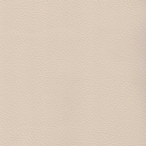 LIGHT CREAM