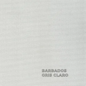 GRIS CLARO
