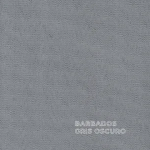 GRIS OSCURO