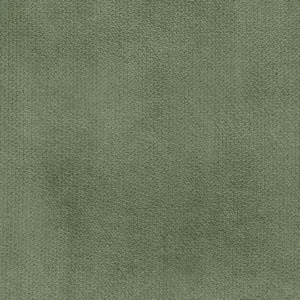 COLOR N°5